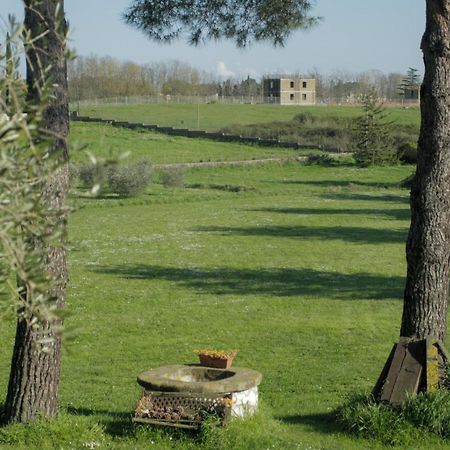 Bed and Breakfast Il Casale Di Gardenia Cesano Zewnętrze zdjęcie