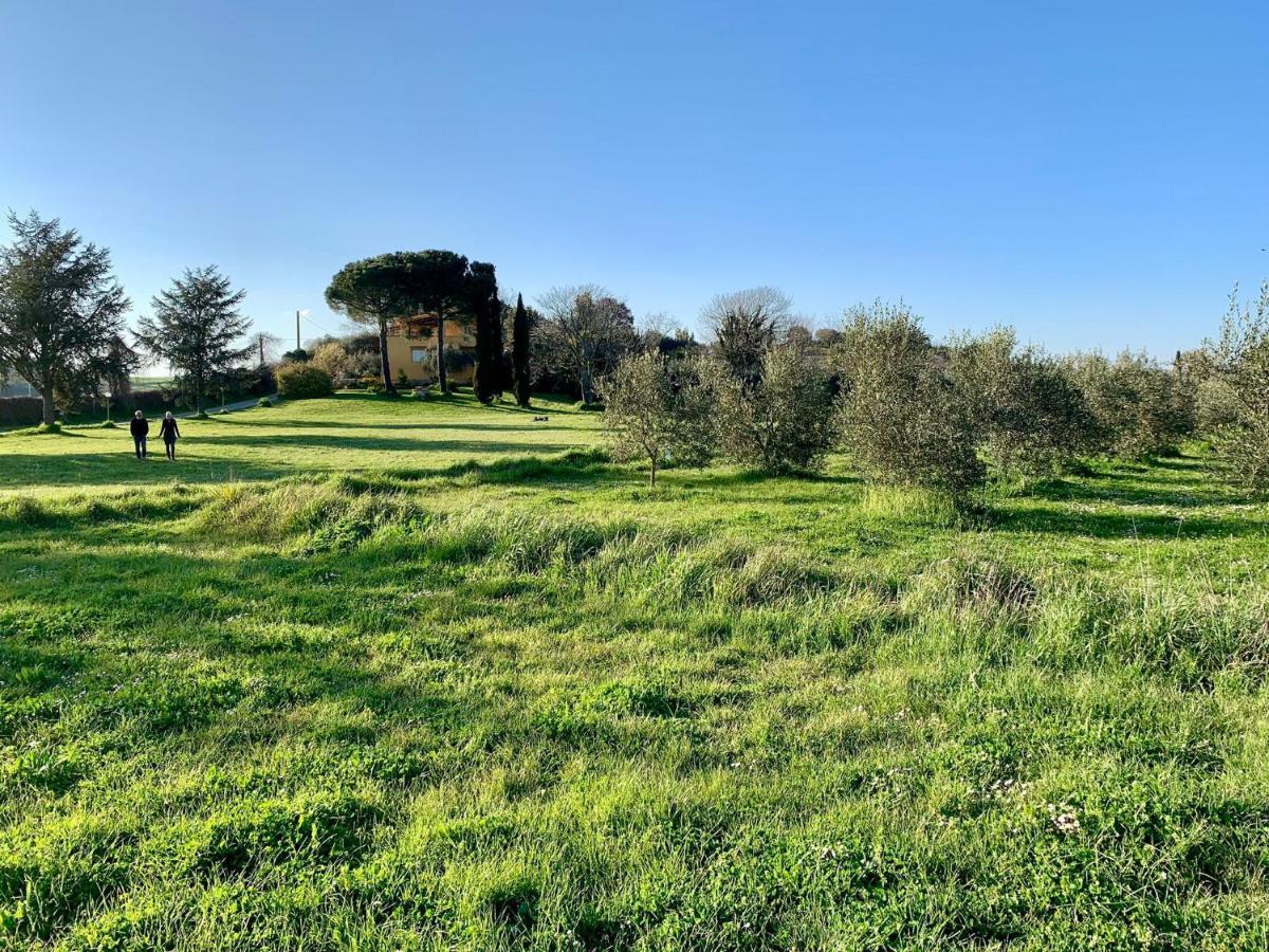 Bed and Breakfast Il Casale Di Gardenia Cesano Zewnętrze zdjęcie