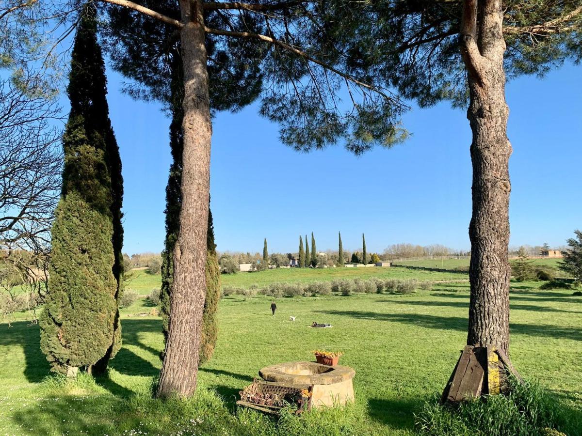 Bed and Breakfast Il Casale Di Gardenia Cesano Zewnętrze zdjęcie