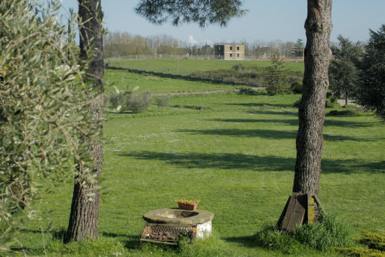 Bed and Breakfast Il Casale Di Gardenia Cesano Zewnętrze zdjęcie